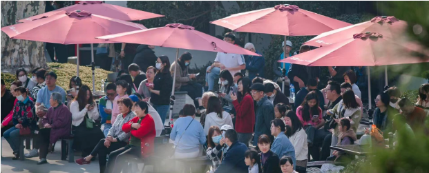 暂无图片